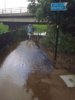 tn_Image1186_cyclistThroughFloodWater.jpg