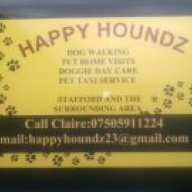 Happy Houndz