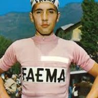 Merckx