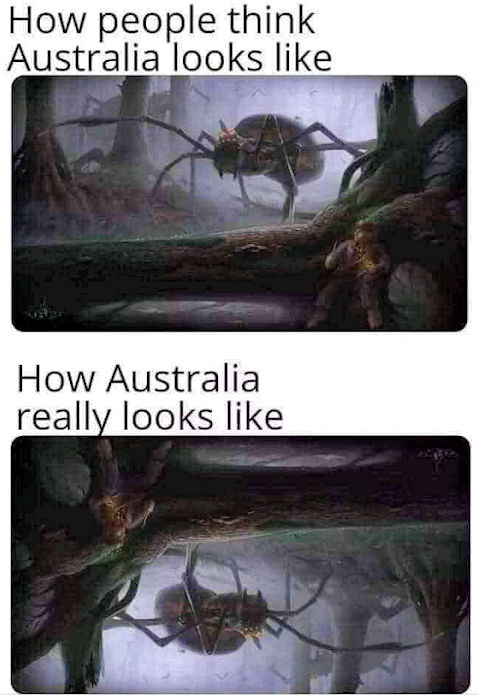 Australia.jpg